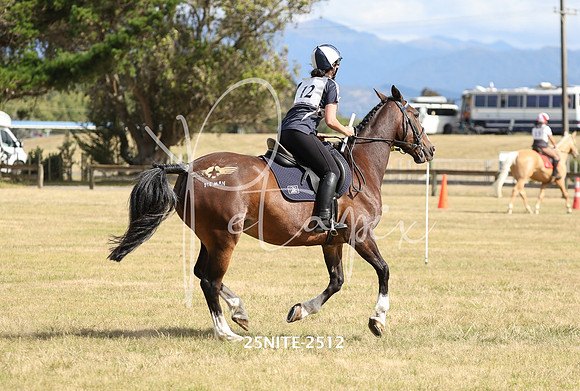 25NITE-2512