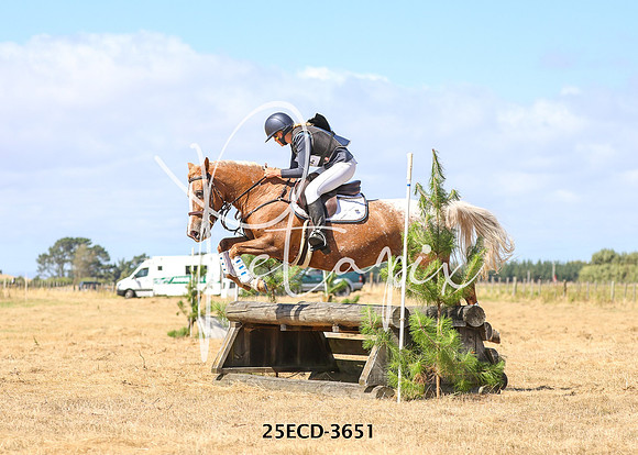 25ECD-3651