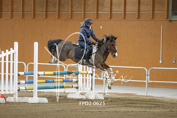 FPD2-0625