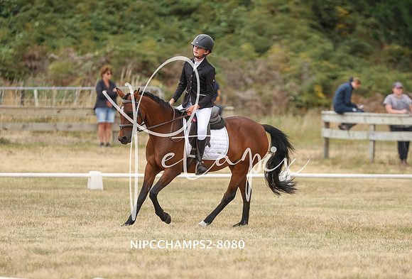 NIPCCHAMPS2-8080