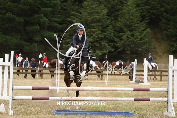 NIPCCHAMPS2-7802