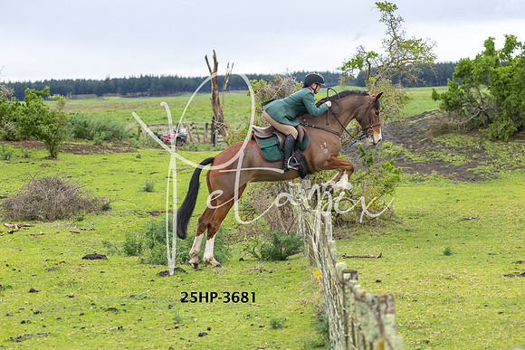 25HP-3681