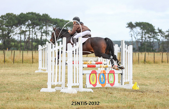 25NTIS-2032