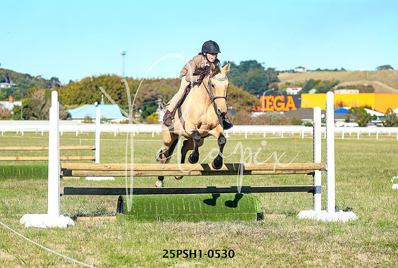 25PSH1-0530