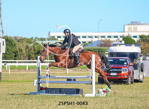 25PSH1-0083
