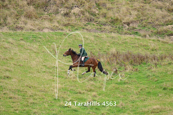 24 TaraHills-4563
