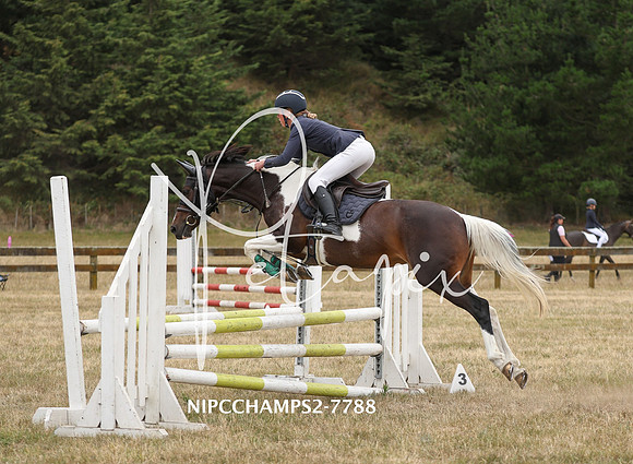 NIPCCHAMPS2-7788