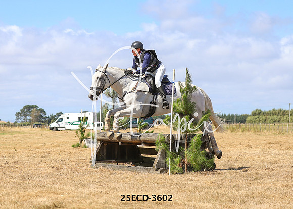 25ECD-3602