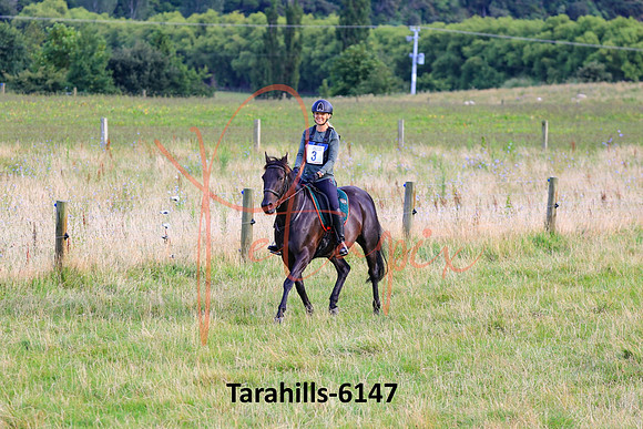 Tarahills-6147