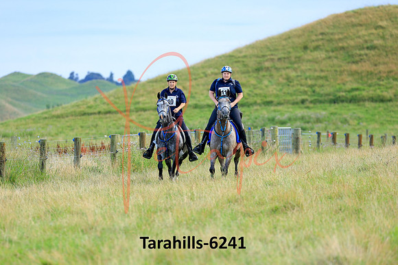 Tarahills-6241