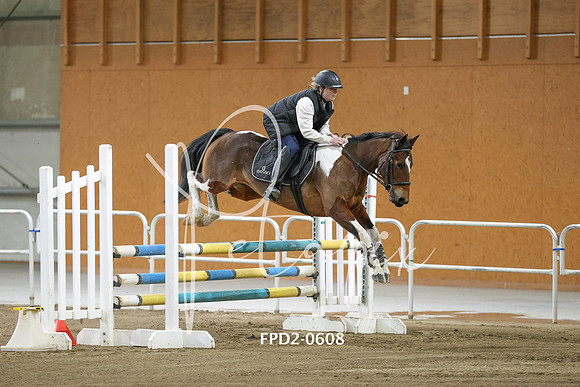 FPD2-0608