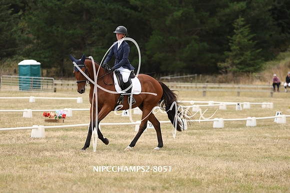 NIPCCHAMPS2-8051