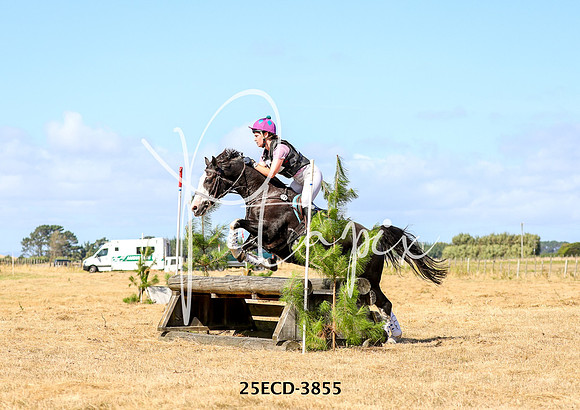 25ECD-3855