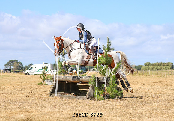 25ECD-3729