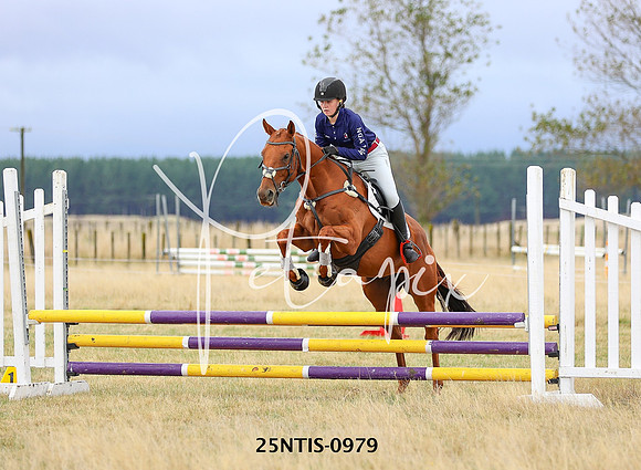 25NTIS-0979