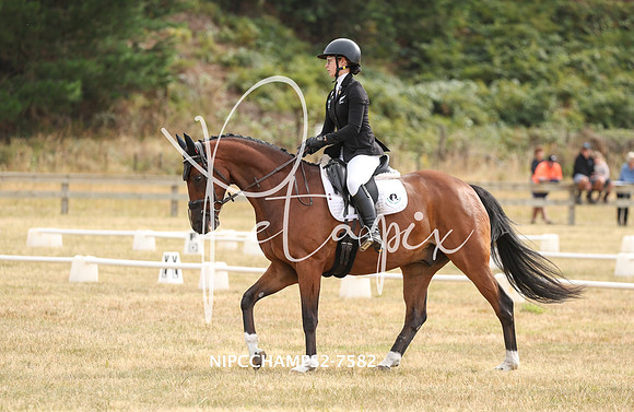 NIPCCHAMPS2-7582