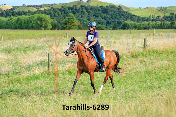 Tarahills-6289