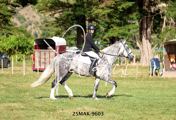 25MAK-9603