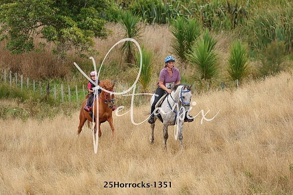 25Horrocks-1351