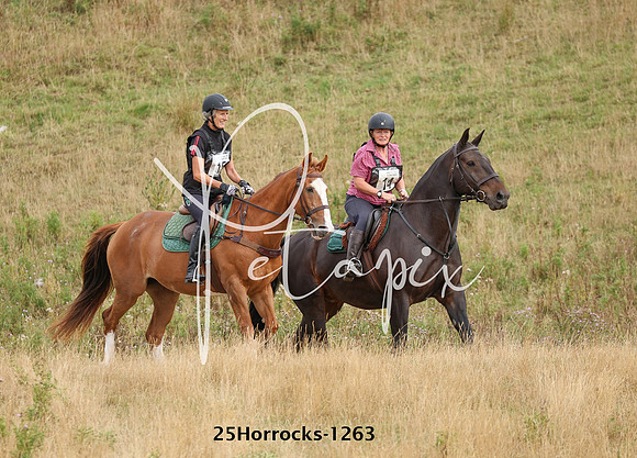 25Horrocks-1263