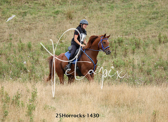 25Horrocks-1430