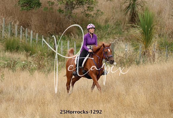 25Horrocks-1292