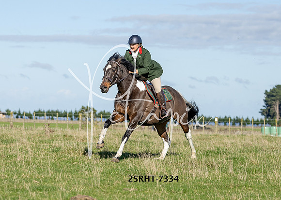 25RHT-7334