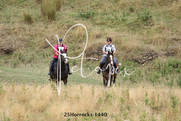 25Horrocks-1440