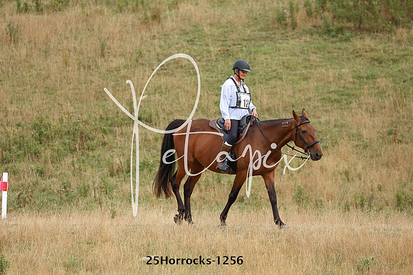 25Horrocks-1256