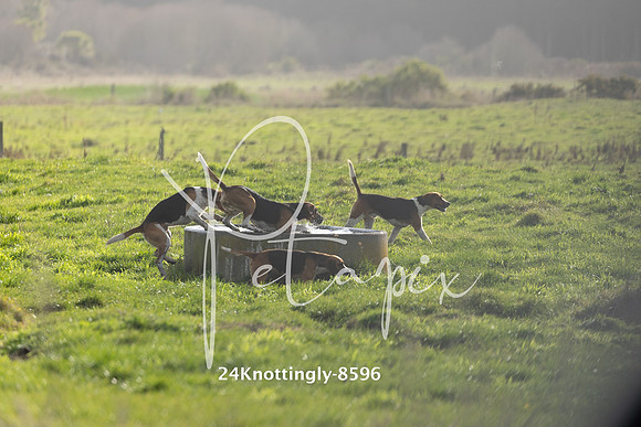 24Knottingly-8596