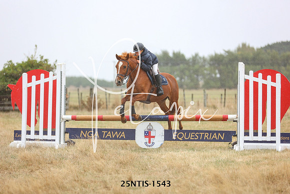 25NTIS-1543