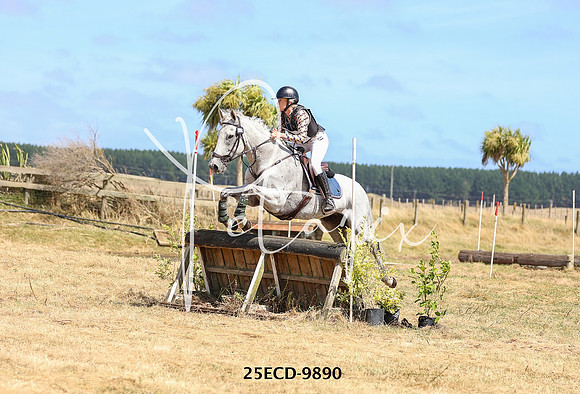 25ECD-9890