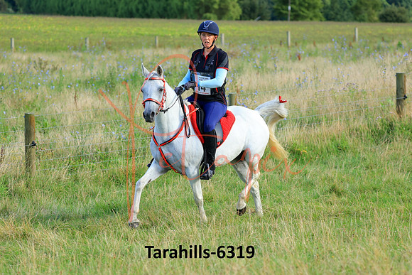 Tarahills-6319