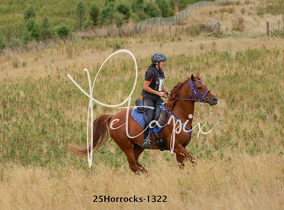 25Horrocks-1322