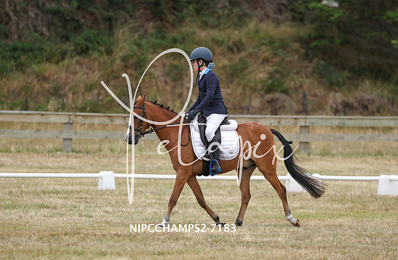 NIPCCHAMPS2-7183
