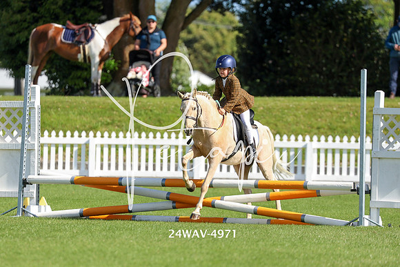 24WAV-4971