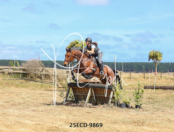 25ECD-9869