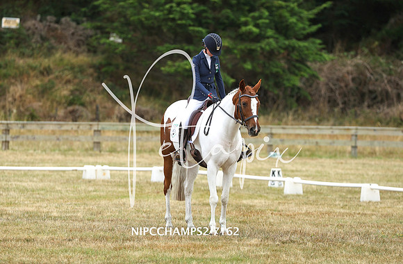 NIPCCHAMPS2-7162