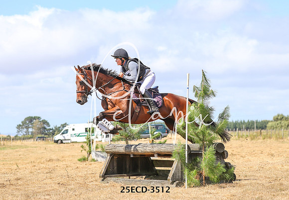 25ECD-3512
