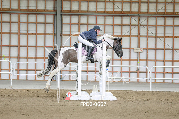 FPD2-0667
