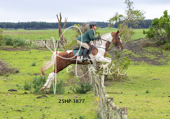 25HP-3877