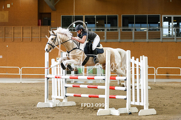 FPD3-0995