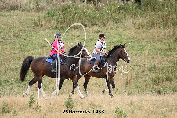 25Horrocks-1453