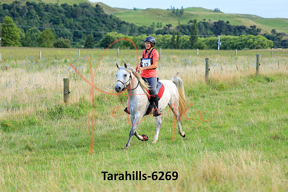 Tarahills-6269