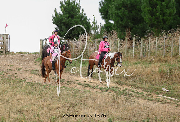 25Horrocks-1376