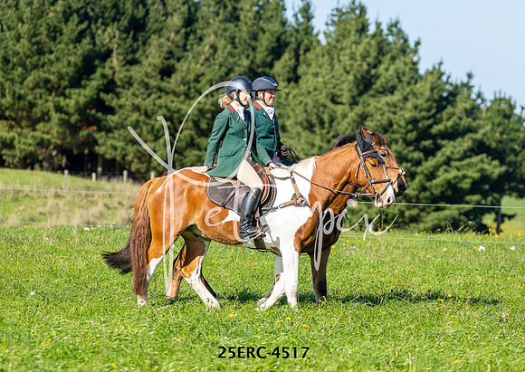 25ERC-4517