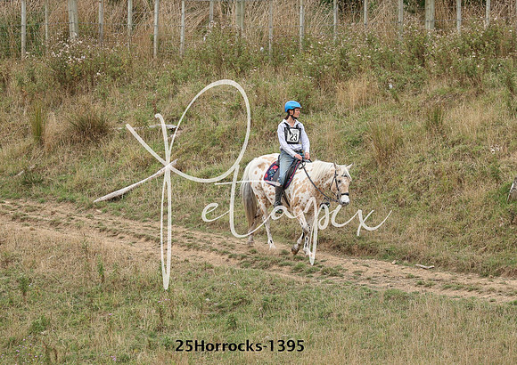 25Horrocks-1395