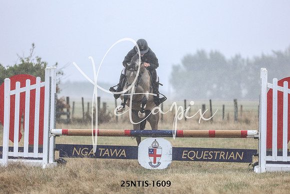 25NTIS-1609