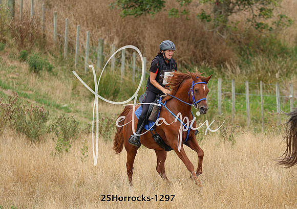 25Horrocks-1297