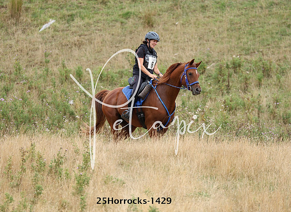 25Horrocks-1429